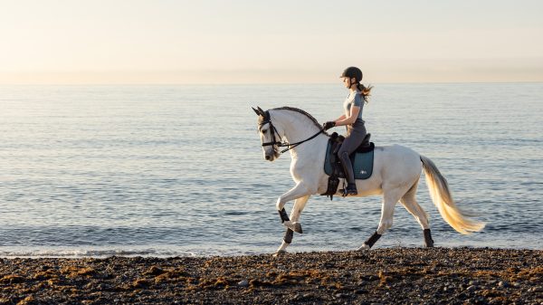 Earth Dressage Square Ocean