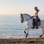 Earth Dressage Square Moss