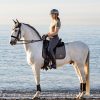 Earth Dressage Square Moss - Imagen 3