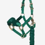 Mini Vogue Headcollar & Leadrope Evergreen