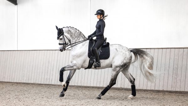 Crystal Suede Dressage Square Black