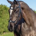 Arika Drop Bridle Black/Silver