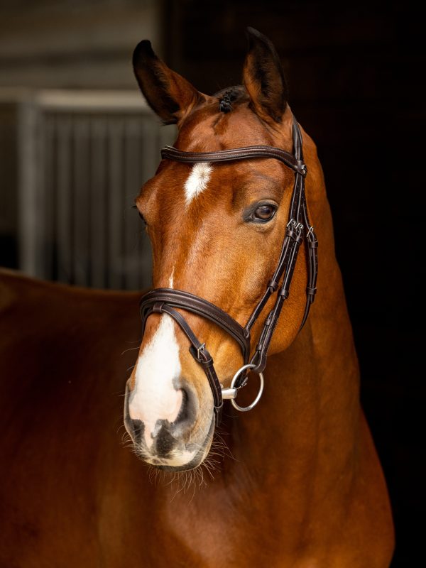 Arika Flash Bridle Brown/Silver