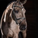 Arika Flash Bridle Black/Silver