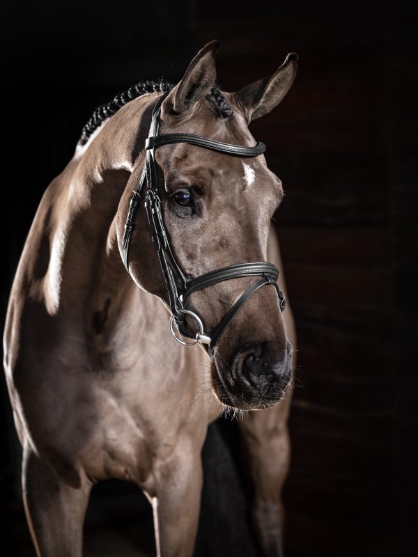 Arika Flash Bridle Black/Silver