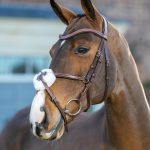 Arika Grackle Bridle Havana/Silver