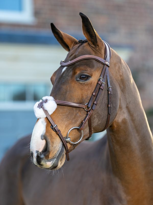 Arika Grackle Bridle Havana/Silver