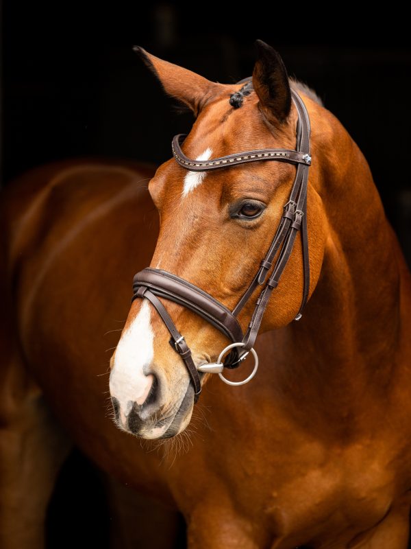Arika Dressage Bridle Brown/Silver