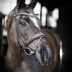 Arika Dressage Bridle Black/Silver