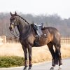 Puissance Suede Dressage Square Brown - Imagen 3