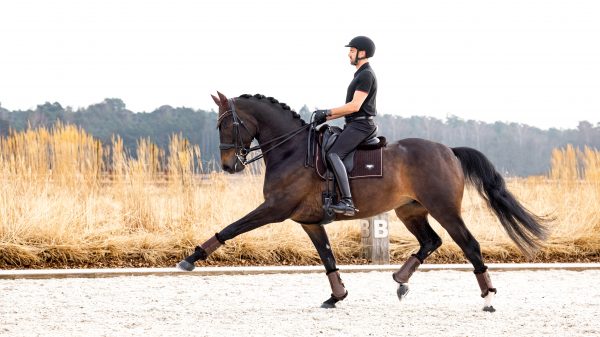 Puissance Suede Dressage Square Brown