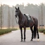Puissance Suede Dressage Square Black