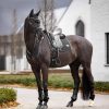 Puissance Suede Dressage Square Black - Imagen 3