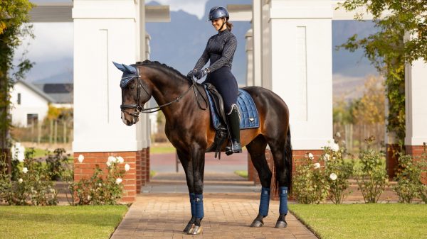 Loire Classic Dressage Square Atlantic