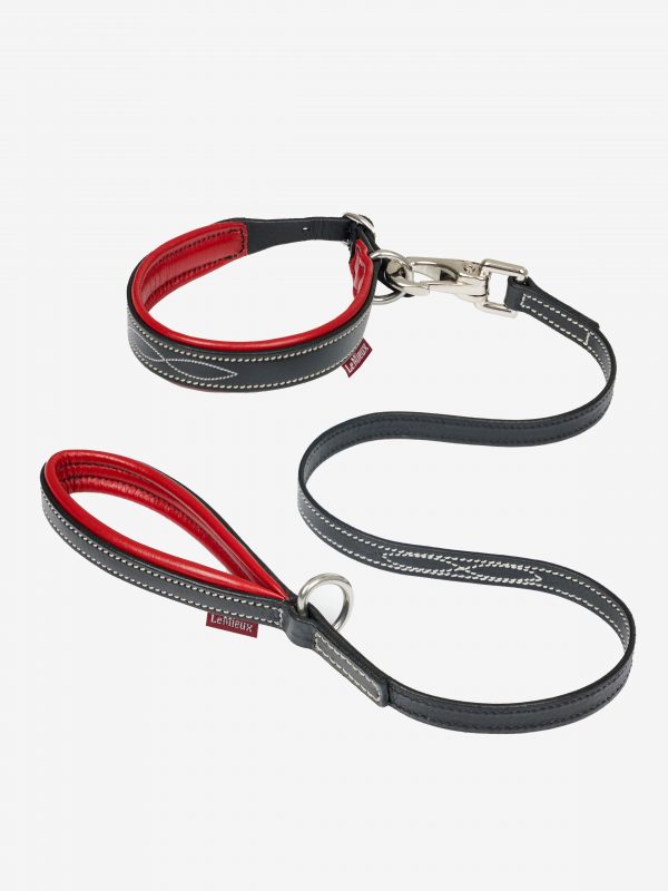 Toy Puppy Collar & Lead Chilli