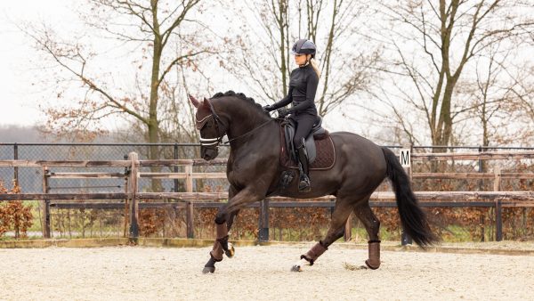 Crystal Suede Dressage Square Brown