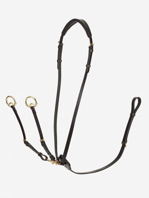 Kudos Running Martingale Brown/Brass