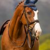 Classic Fly Hood Atlantic - Imagen 2