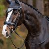 Earth Fly Hood Moss - Imagen 2