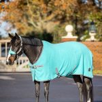 Arika Jersey-Tek Fleece Azure