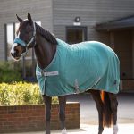 Arika Jersey-Tek Fleece Sage