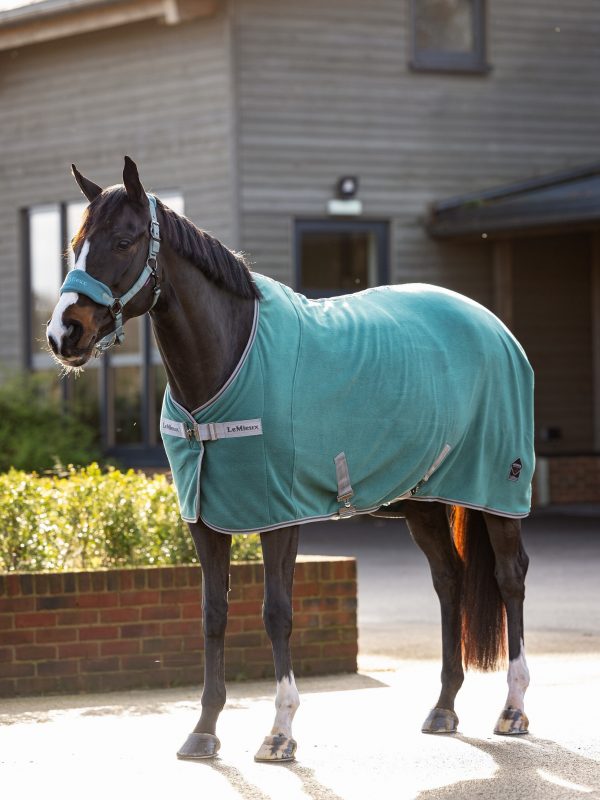 Arika Jersey-Tek Fleece Sage
