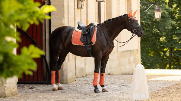 Suede Dressage Square Apricot