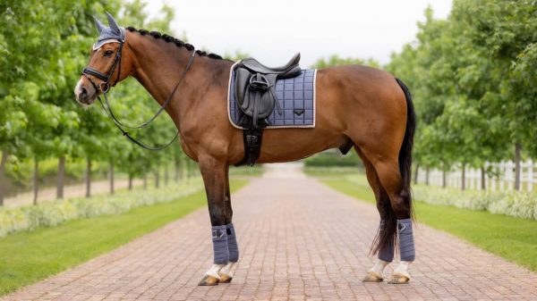 LeMieux Jay Blue Loire Dressage Set