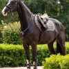 Loire Classic Close Contact Square Walnut - Imagen 2