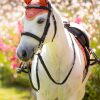 Mini Fly Hood Apricot - Imagen 2