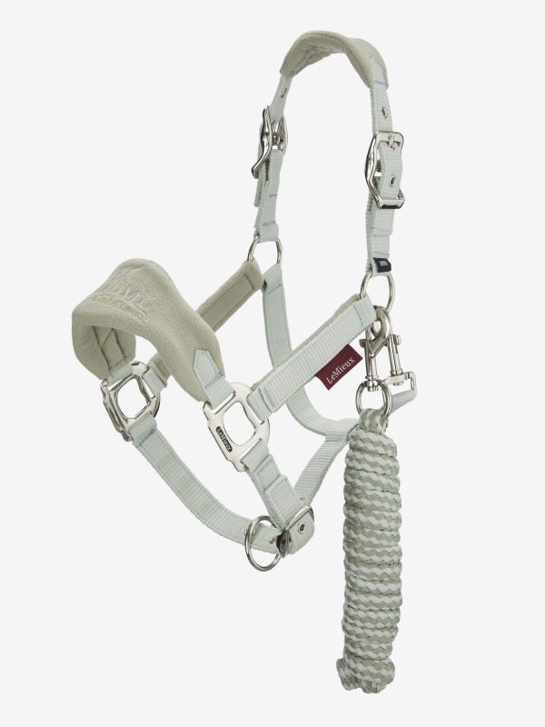 Mini Vogue Headcollar & Leadrope Fern