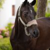 Vogue Headcollar & Leadrope Fern - Imagen 3