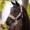 Vogue Headcollar & Leadrope Fern - Imagen 2