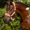 Vogue Headcollar & Leadrope Apricot - Imagen 2