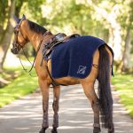 Clima-Tek Exercise Quarter Sheet Navy