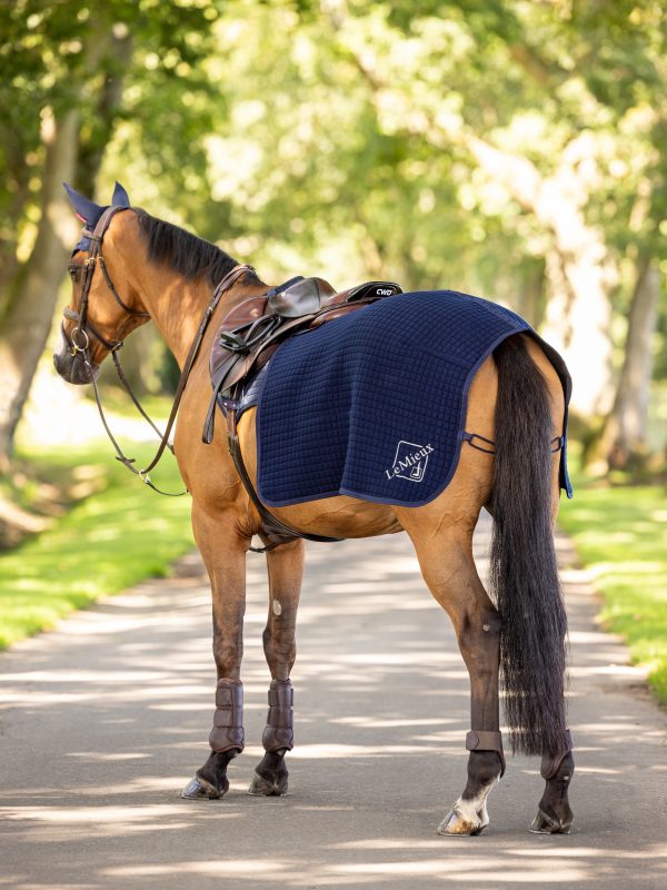 Clima-Tek Exercise Quarter Sheet Navy