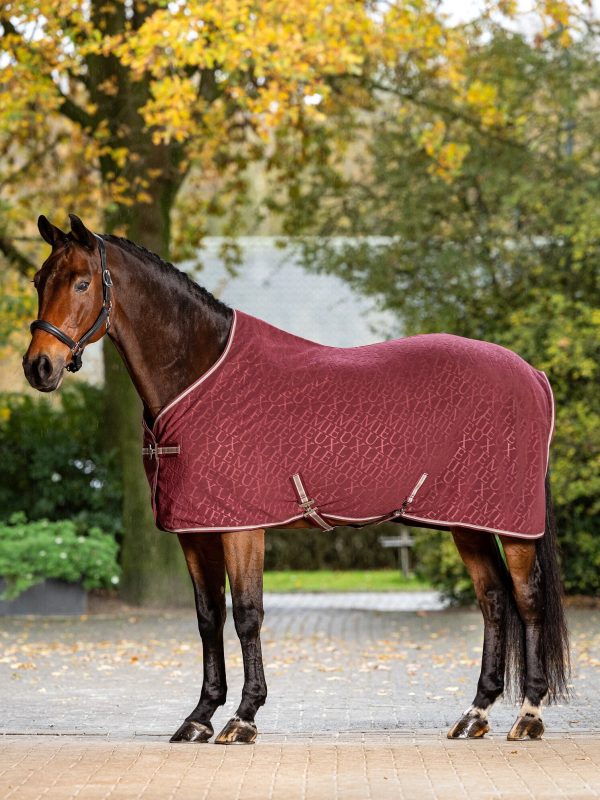 Arika Monogram Fleece Rug Burgundy