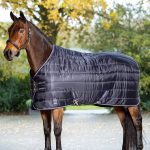Arika Stable-Tek 100g
