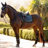 Rhone Polo Bandages Petrol Blue - Imagen 3