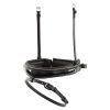 BR Crank Flash Muserola Lacquer - Imagen 2
