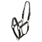 ANKY Grooming Cabezada Cuadra ATH22001