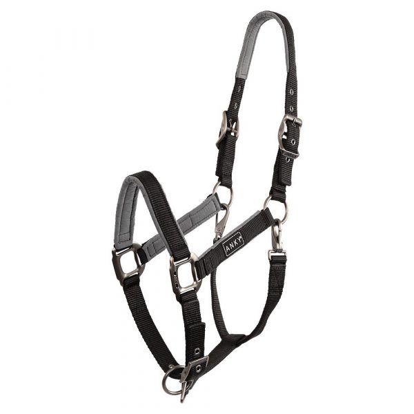 ANKY Grooming Cabezada Cuadra ATH22001