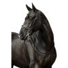 HKM Cabezada doble -Dina- - Imagen 2