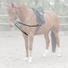 Riendas Fillis Waldhausen X-Line - simples negro - Imagen 2