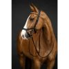 HKM Cabezada -Pro Anatomic- - Imagen 8