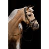 HKM Cabezada -Shetty Diamond- - Imagen 4
