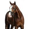 HKM Cabezada -Bella- - Imagen 2
