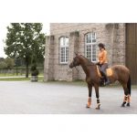HKM Mantilla -Allure Cheval-