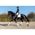 HKM Mantilla -Competition-