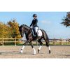 HKM Mantilla -Competition- - Imagen 2